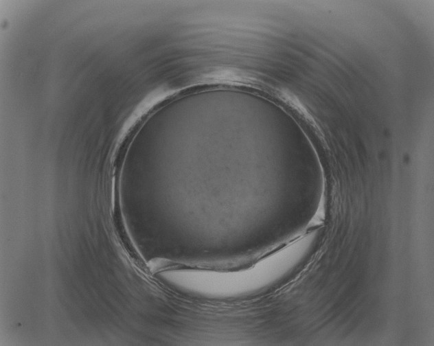 X0000084561323200703091735