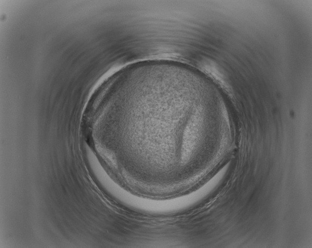 X0000084561324200703091735