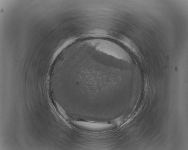 X0000084561325200703091735