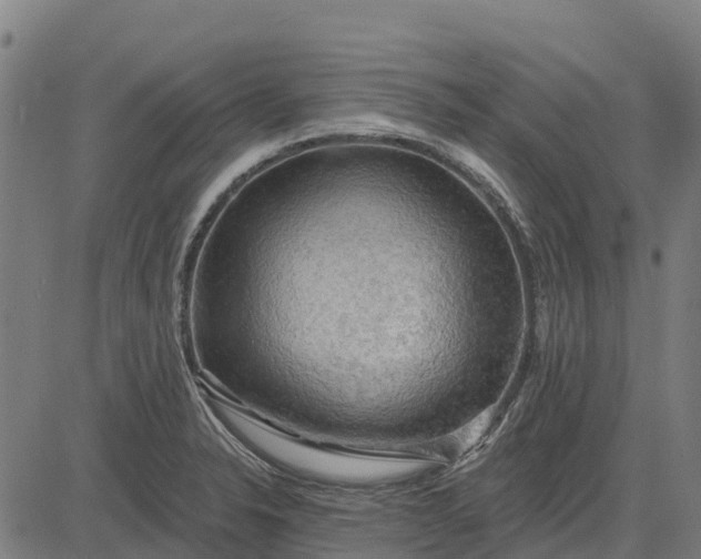 X0000084561326200703091735