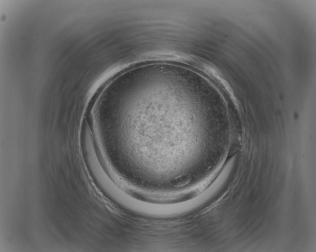 X0000084561328200703091735