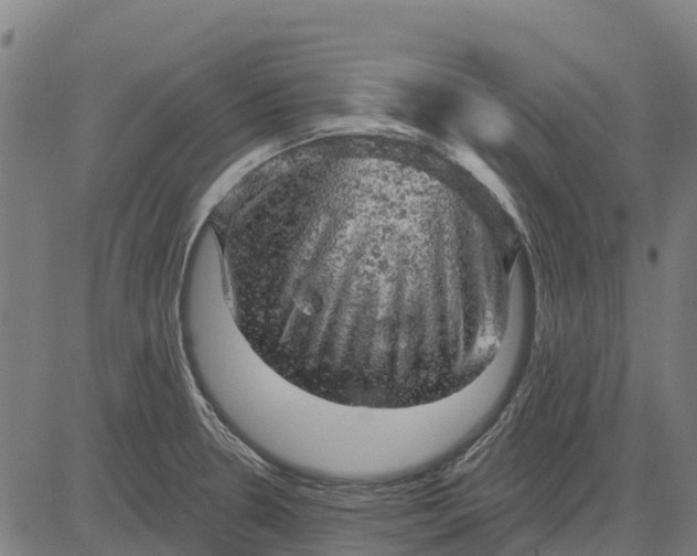 X0000084561330200703091735