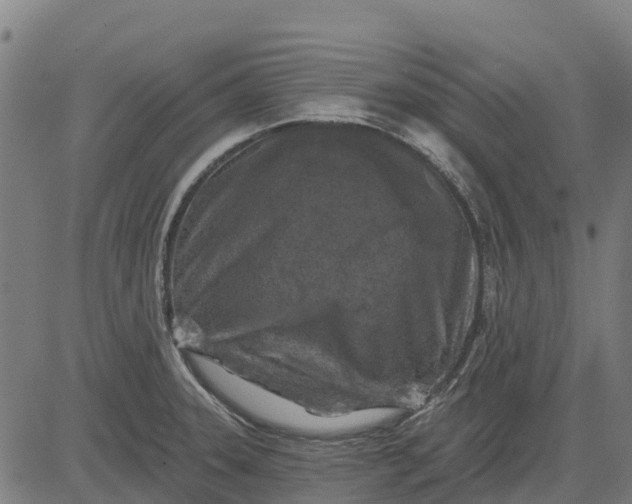 X0000084561331200703091735