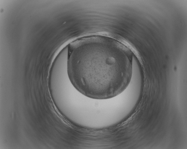 X0000084561332200703091735