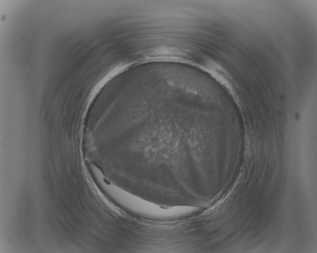 X0000084561333200703091735