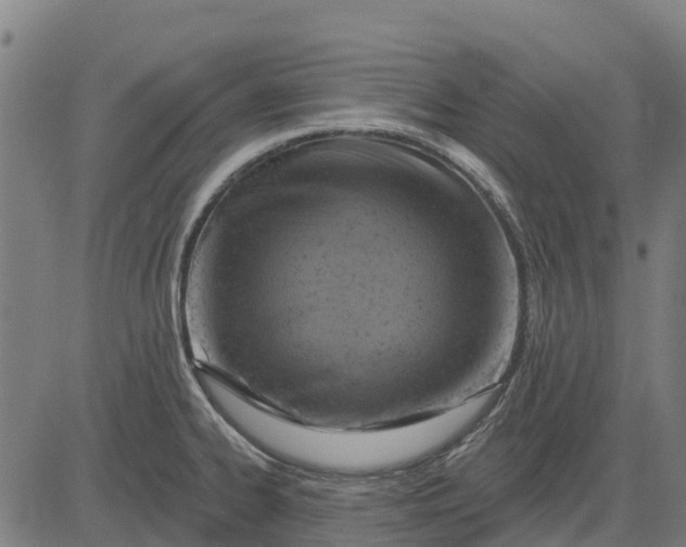 X0000084561334200703091735