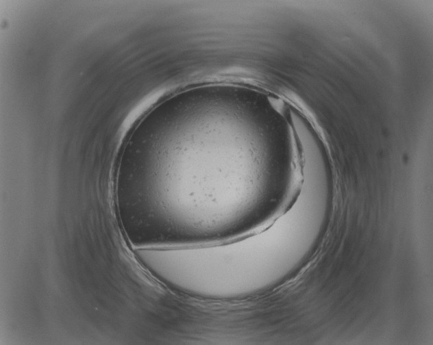 X0000084561336200703091735