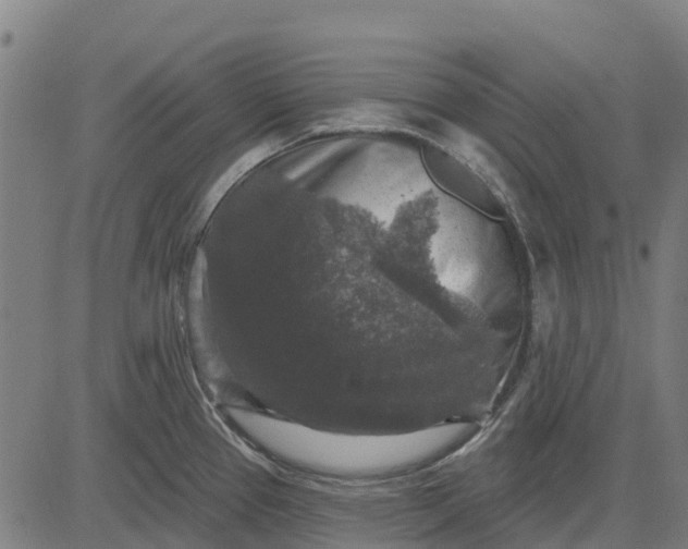 X0000084561337200703091735