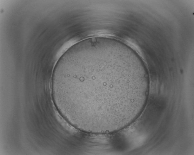 X0000084561338200703091735