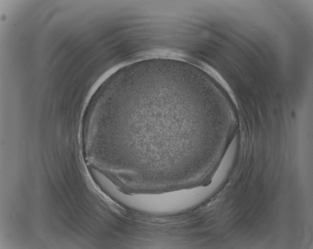 X0000084561339200703091735