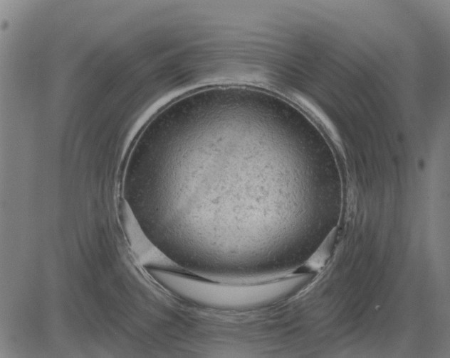 X0000084561340200703091735