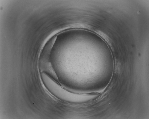 X0000084561342200703091735