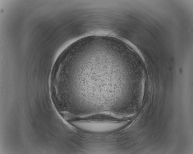 X0000084561343200703091735