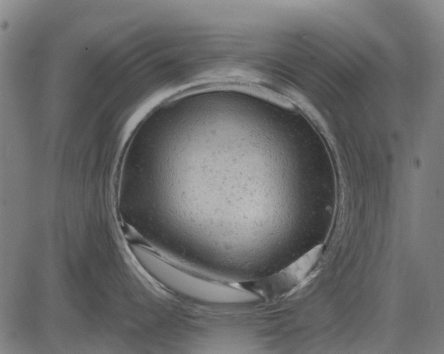 X0000084561344200703091735