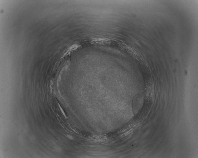 X0000084561346200703091734