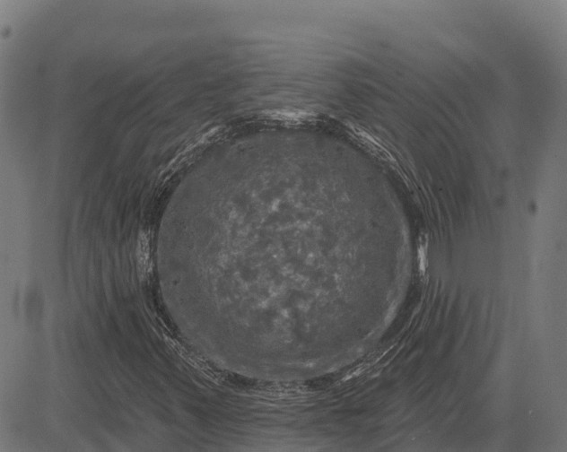 X0000084561347200703091734