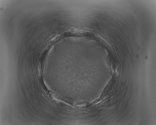 X0000084561348200703091734