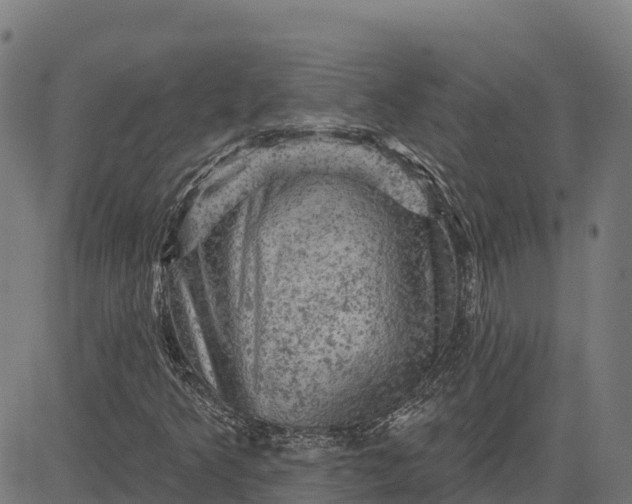 X0000084561349200703091734