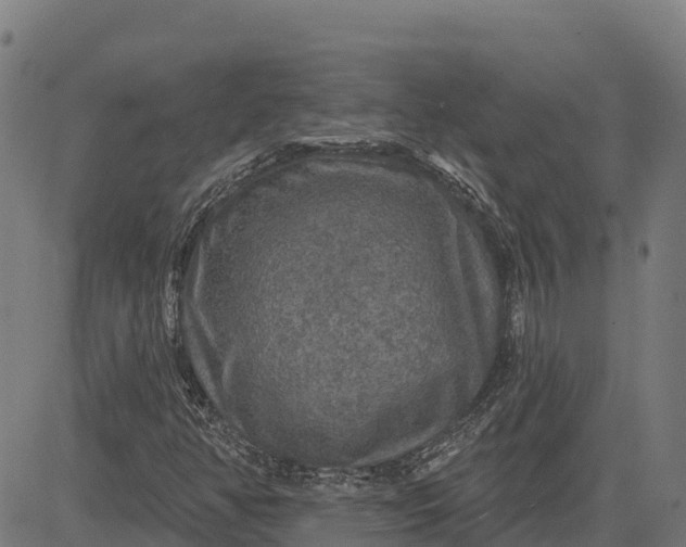 X0000084561350200703091734