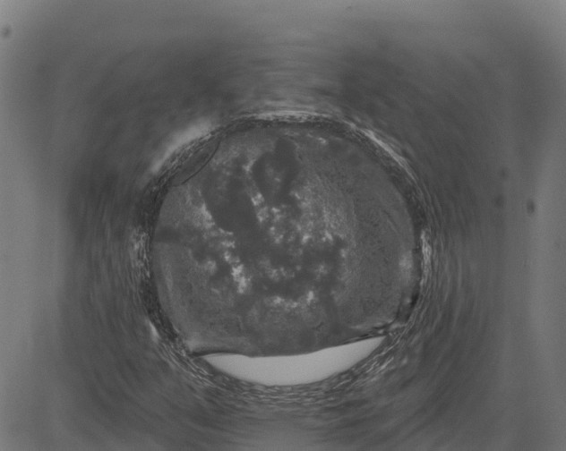 X0000084561351200703091734