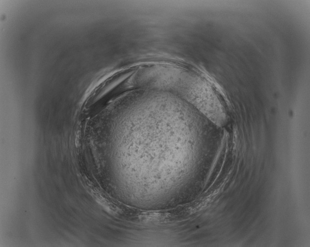 X0000084561352200703091734