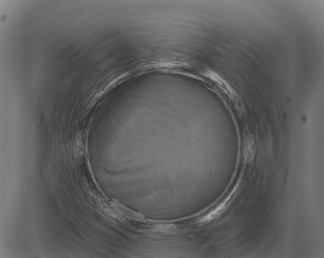 X0000084561353200703091734