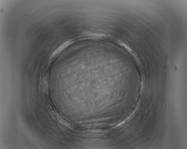 X0000084561354200703091734