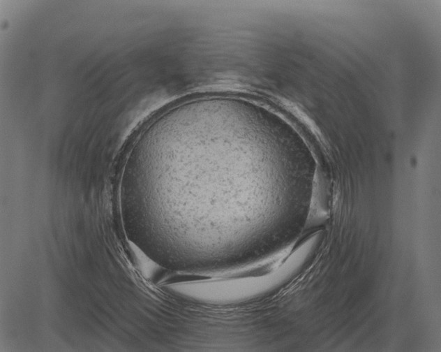 X0000084561356200703091734