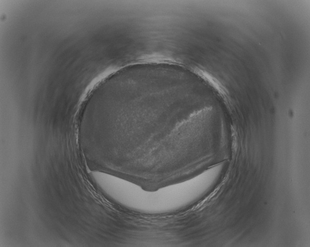 X0000084561358200703091734