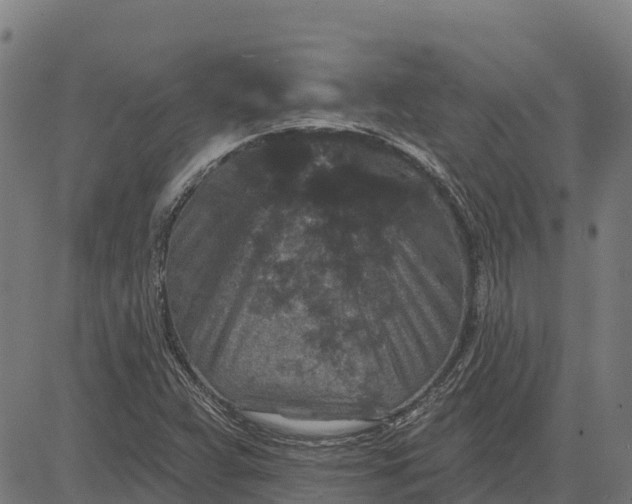 X0000084561359200703091734