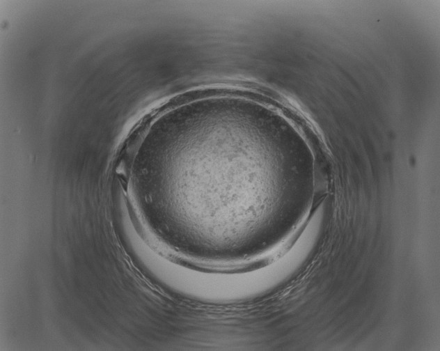 X0000084561360200703091734