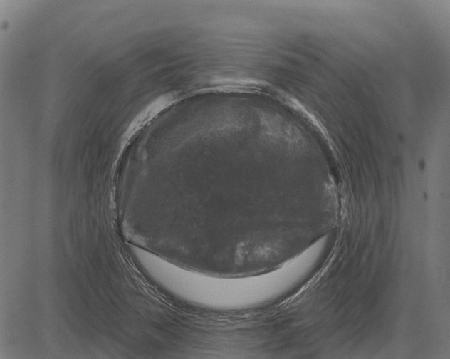 X0000084561362200703091734