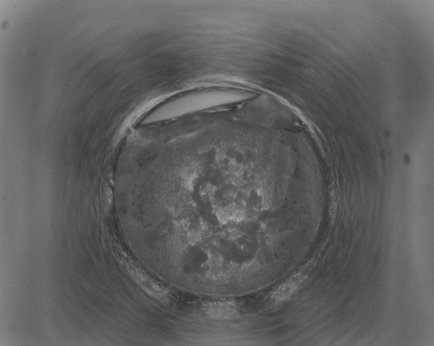 X0000084561363200703091734