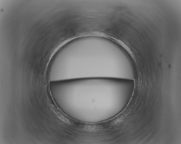 X0000084561364200703091734