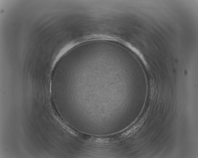 X0000084561365200703091734