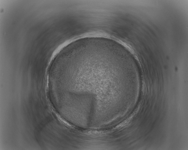 X0000084561366200703091734