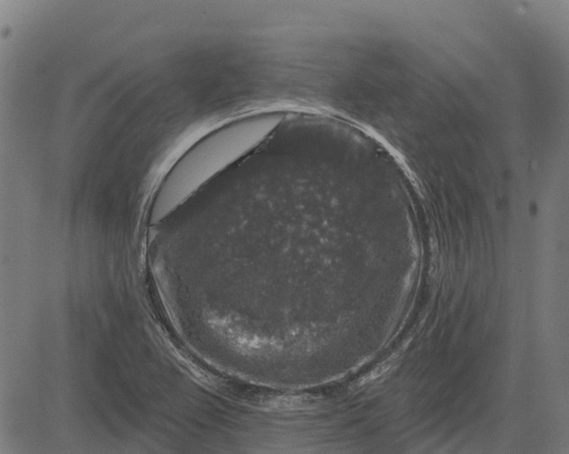 X0000084561367200703091734