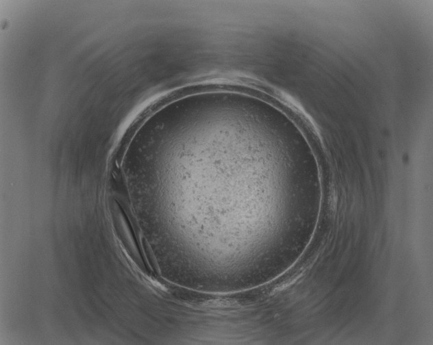 X0000084561368200703091734