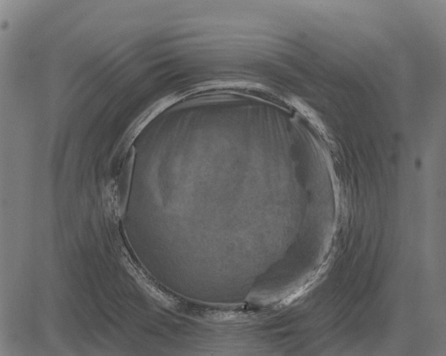 X0000084561369200703091734