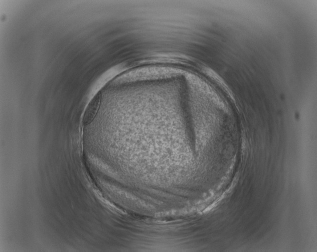 X0000084561370200703091734