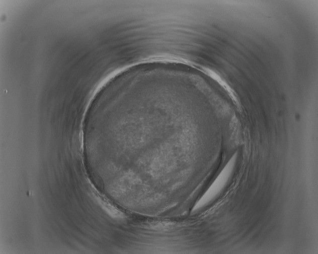 X0000084561372200703091734