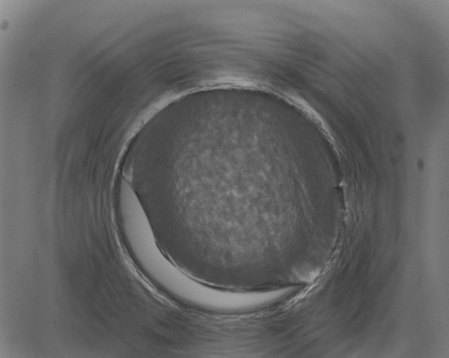 X0000084561373200703091734