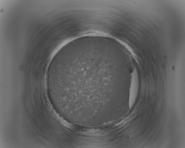 X0000084561375200703091734