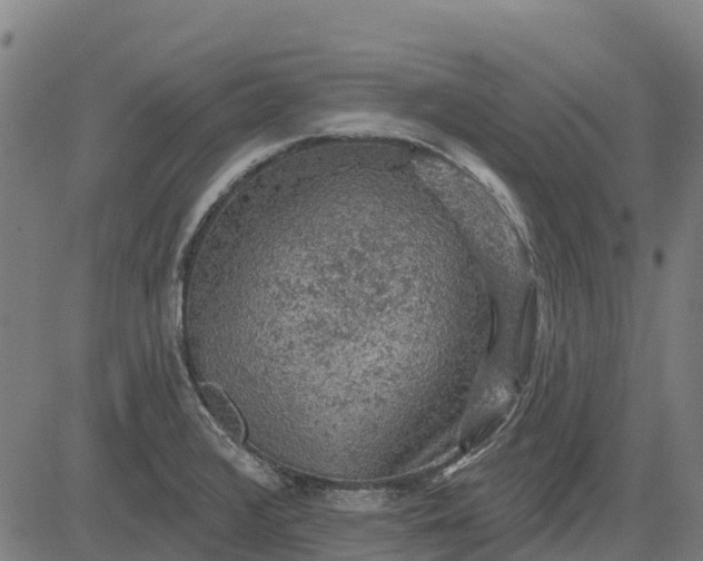 X0000084561376200703091734