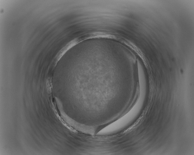 X0000084561377200703091734