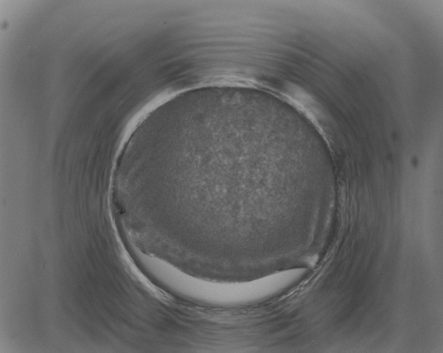 X0000084561379200703091734