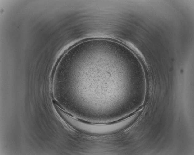 X0000084561380200703091734