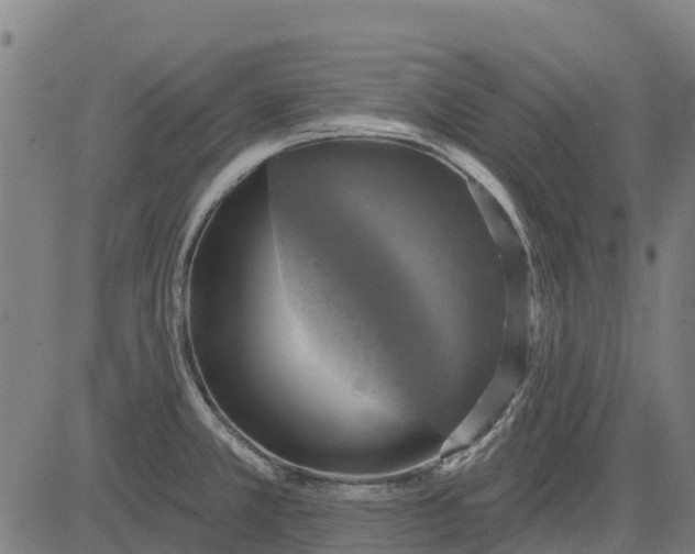 X0000084561381200703091734