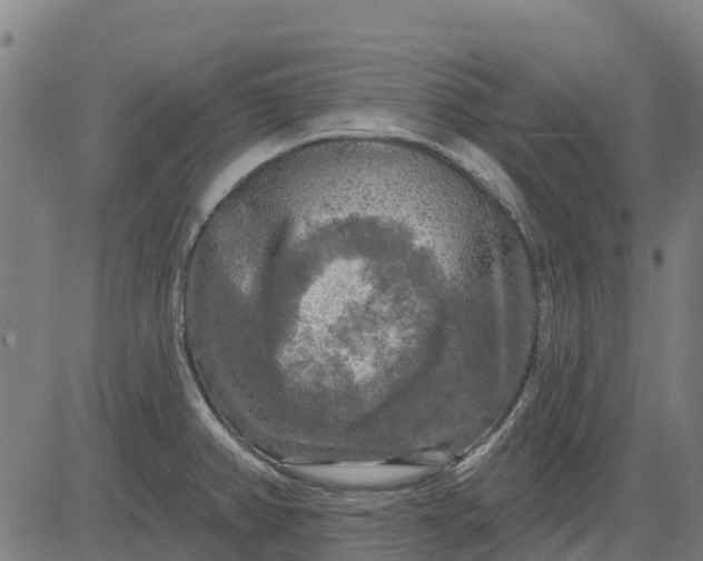 X0000084561382200703091734