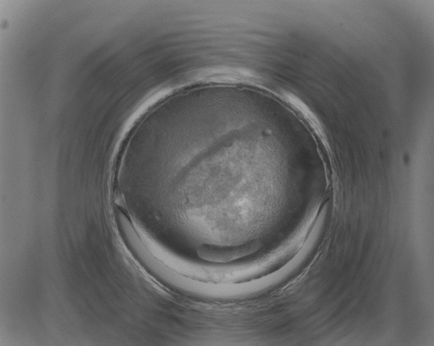 X0000084561384200703091734